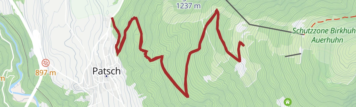 Route map: Grünwalderhof - Patscher Alm